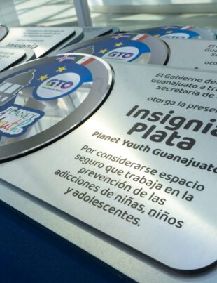 Insignias Planet Youth