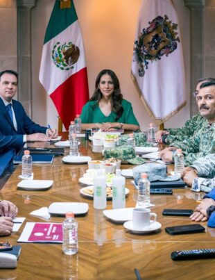 Seguridad en Guanajuato
