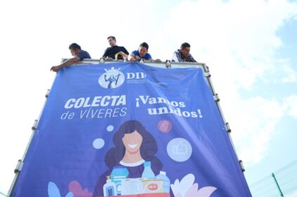 Apoyo a Guerrero