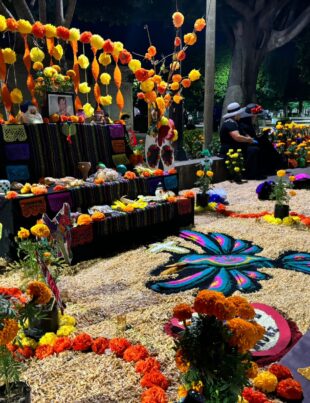 Muestra de ofrendas