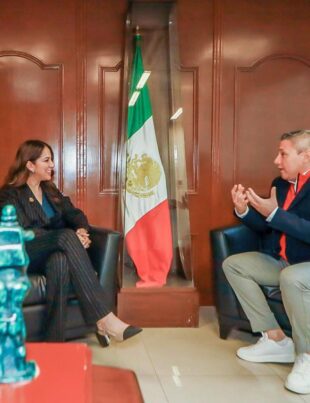 colaboraciones para Guanajuato