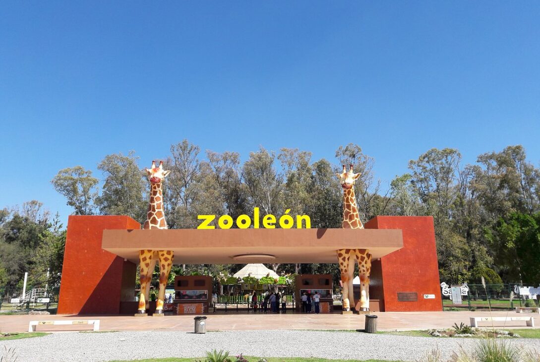 Reyes Magos en el Zoologico