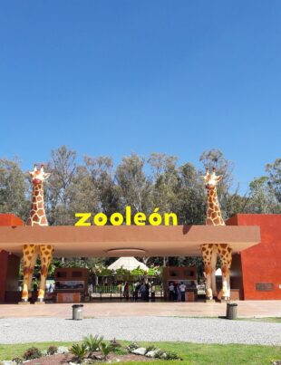 Reyes Magos en el Zoologico