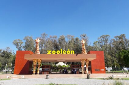 Reyes Magos en el Zoologico