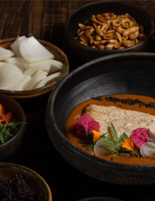 Guía México Gastronómico Culinaria